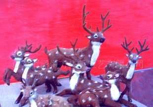 教學(xué)儀器的分類(lèi)與應(yīng)用 從教具到動(dòng)物標(biāo)本的全面解析